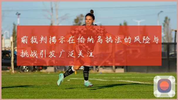 前裁判揭示在伯纳乌执法的风险与挑战引发广泛关注
